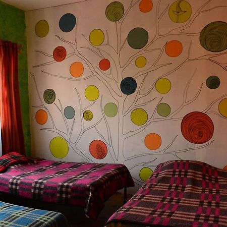 Chill Hostel 墨西哥城 客房 照片